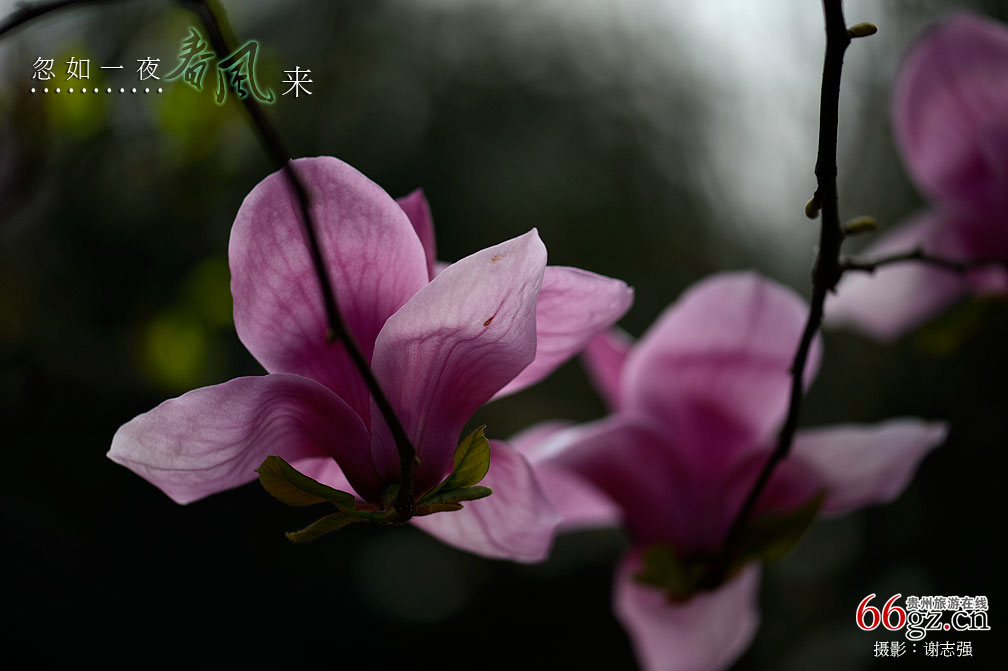 ����ũ���Ļ�