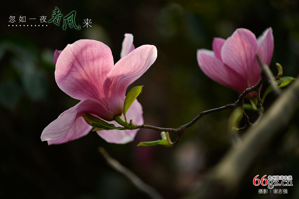 ����ũ���Ļ�