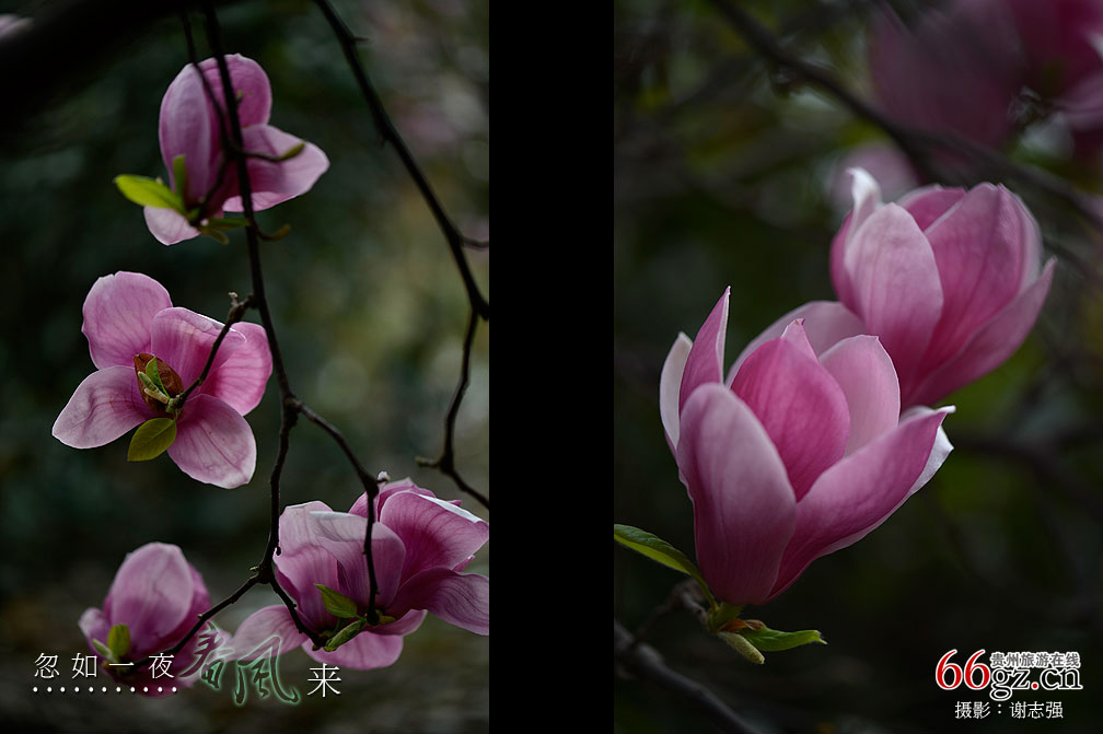 ����ũ���Ļ�