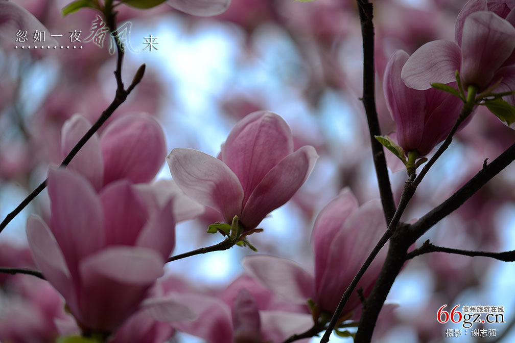 ����ũ���Ļ�