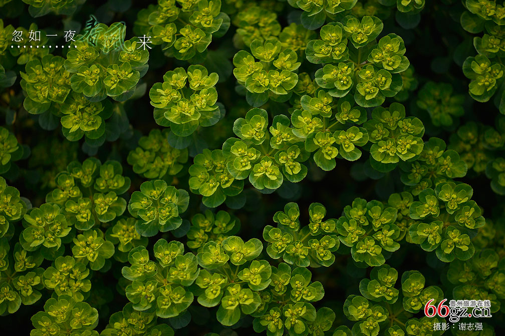 ����ũ���Ļ�