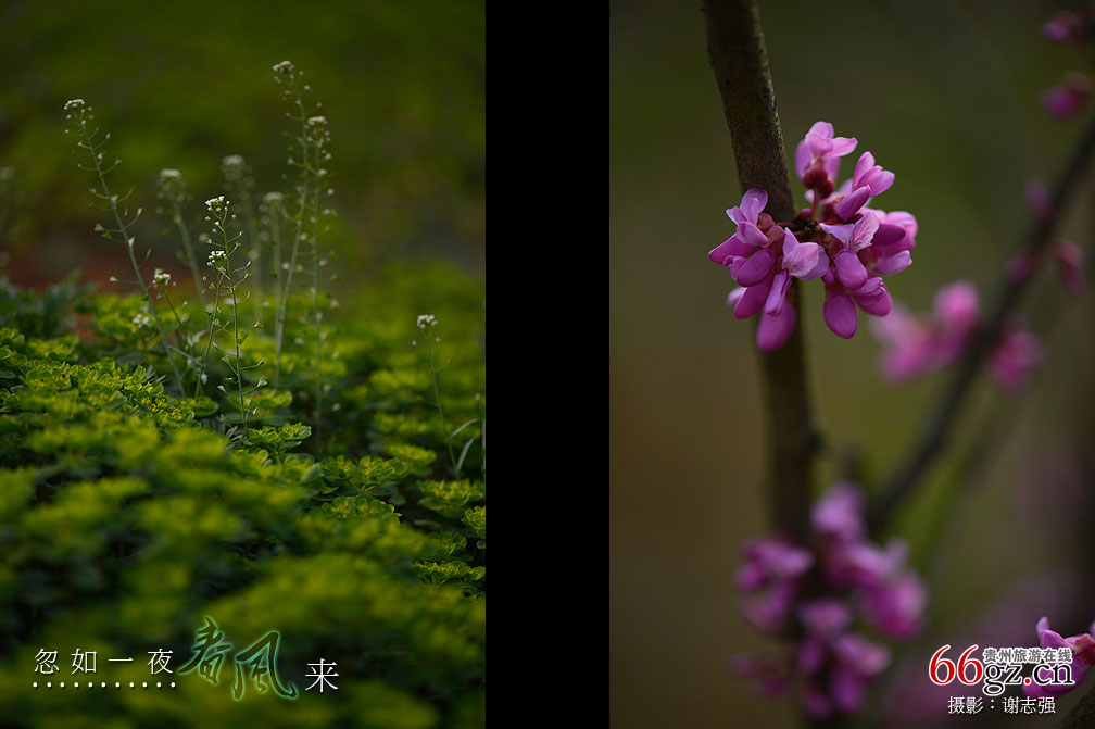 ����ũ���Ļ�