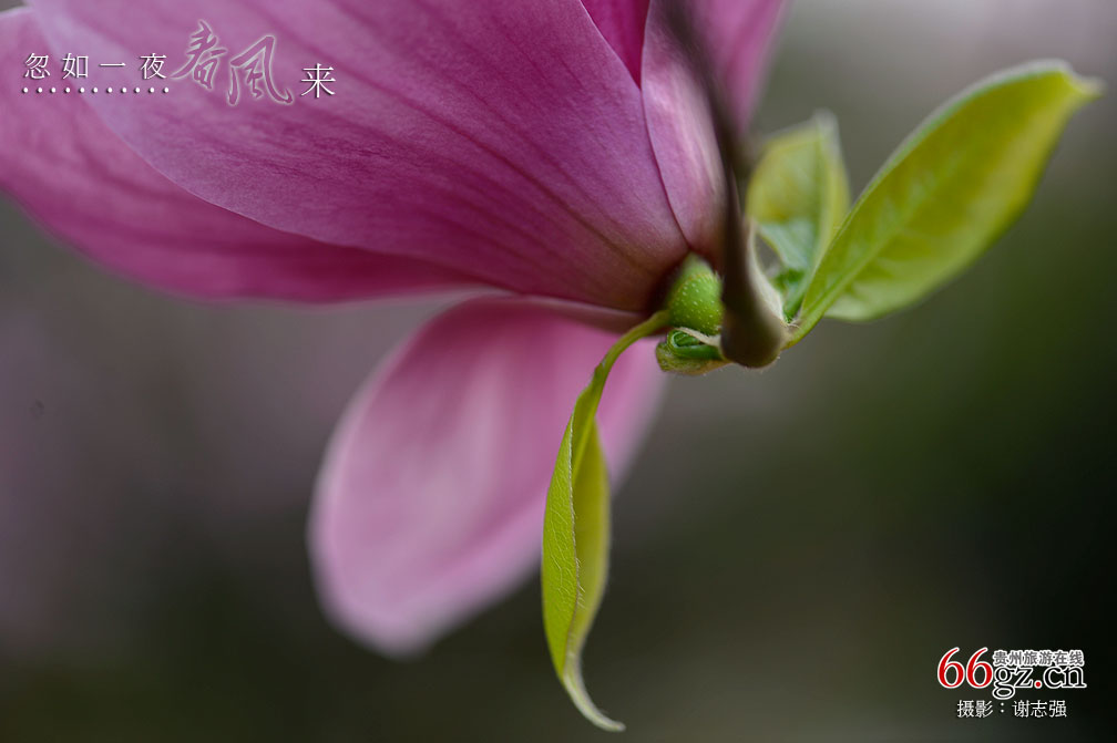 ����ũ���Ļ�