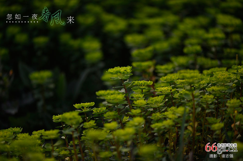 ����ũ���Ļ�