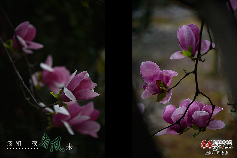 ����ũ���Ļ�