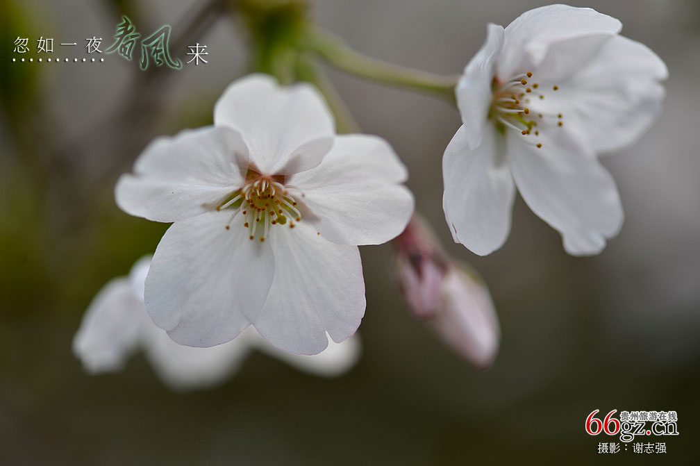 ����ũ���Ļ�