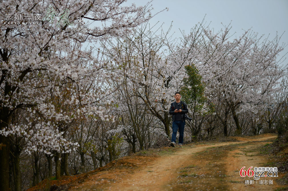 ����ũ���Ļ�