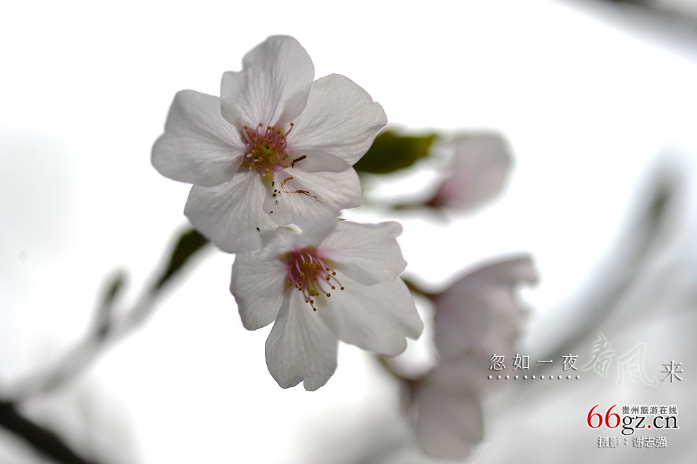 ����ũ���Ļ�