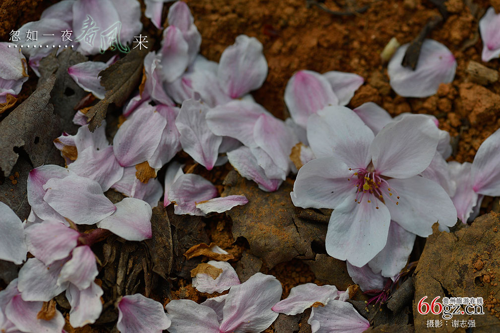 ����ũ���Ļ�