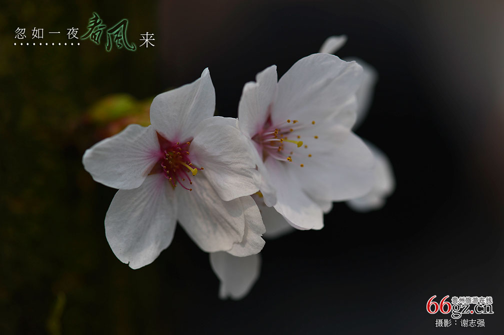 ����ũ���Ļ�