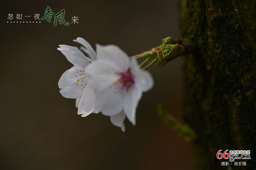 ����ũ���Ļ�