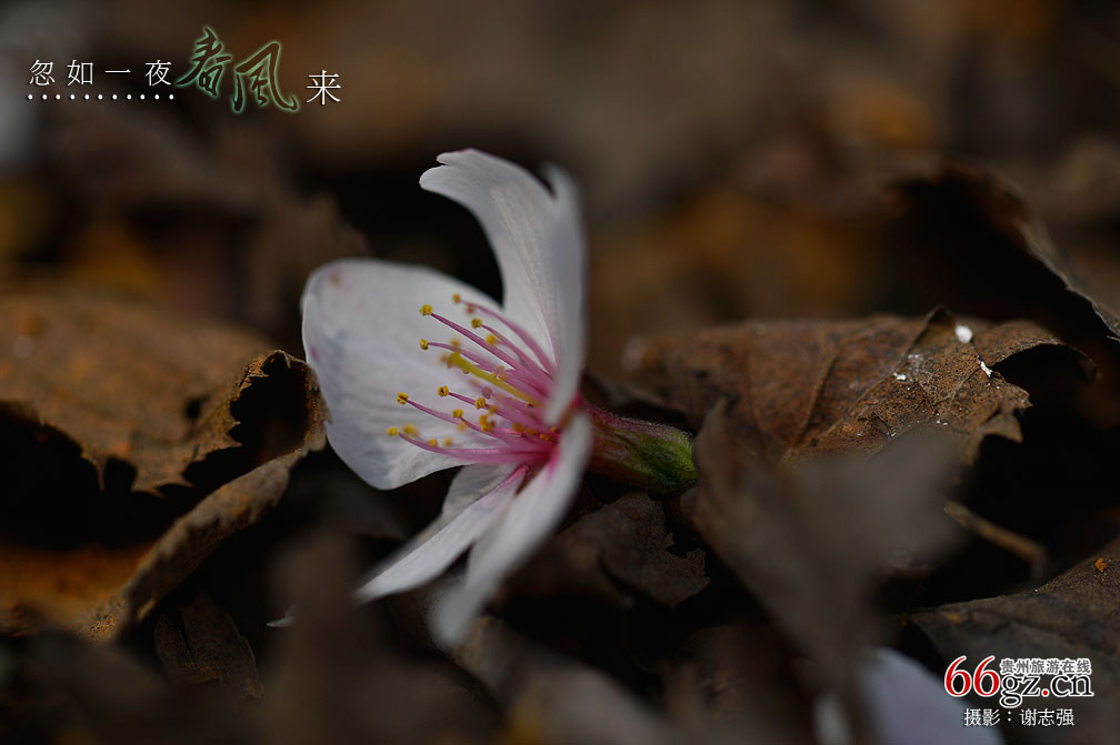 ����ũ���Ļ�