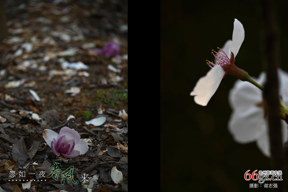 ����ũ���Ļ�