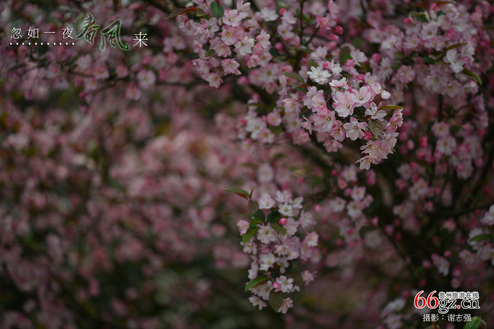 ����ũ���Ļ�