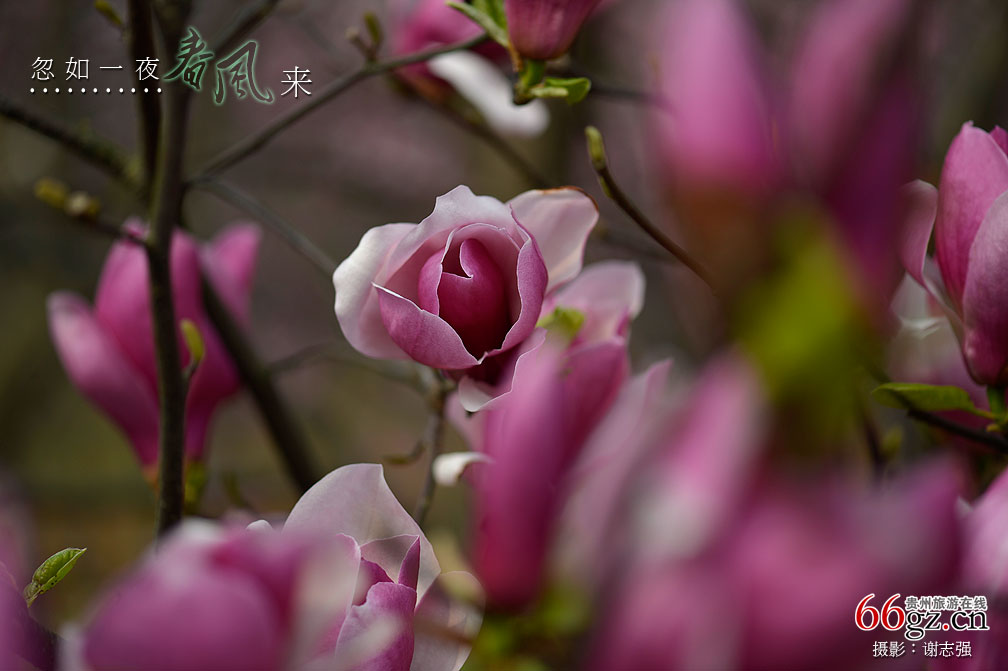 ����ũ���Ļ�