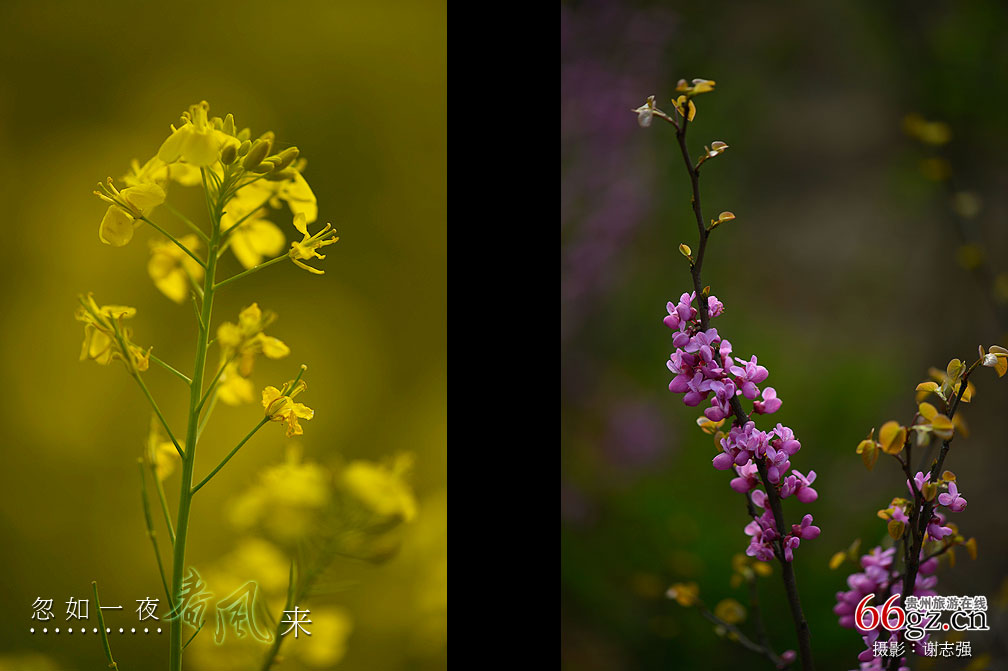 ����ũ���Ļ�