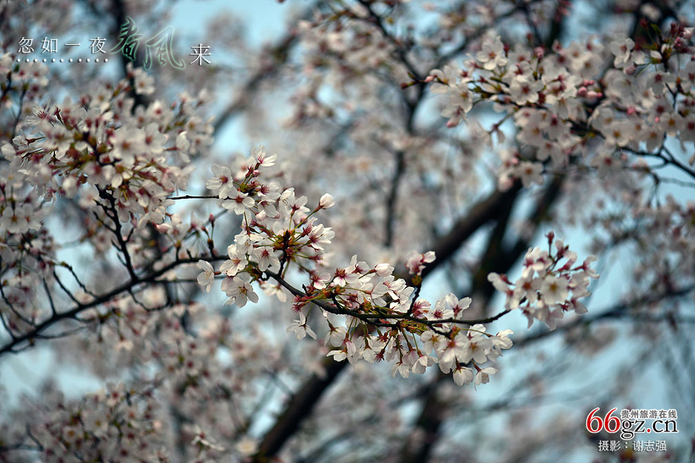 ����ũ���Ļ�