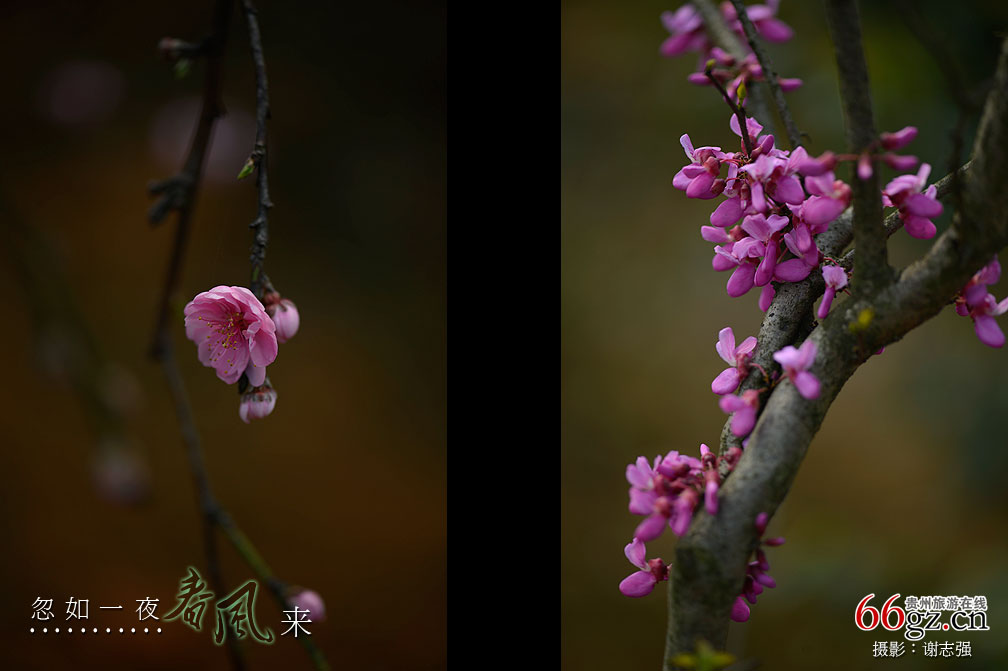 ����ũ���Ļ�