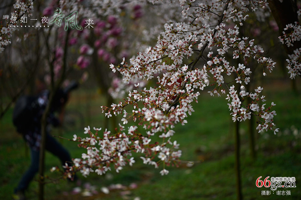 ����ũ���Ļ�