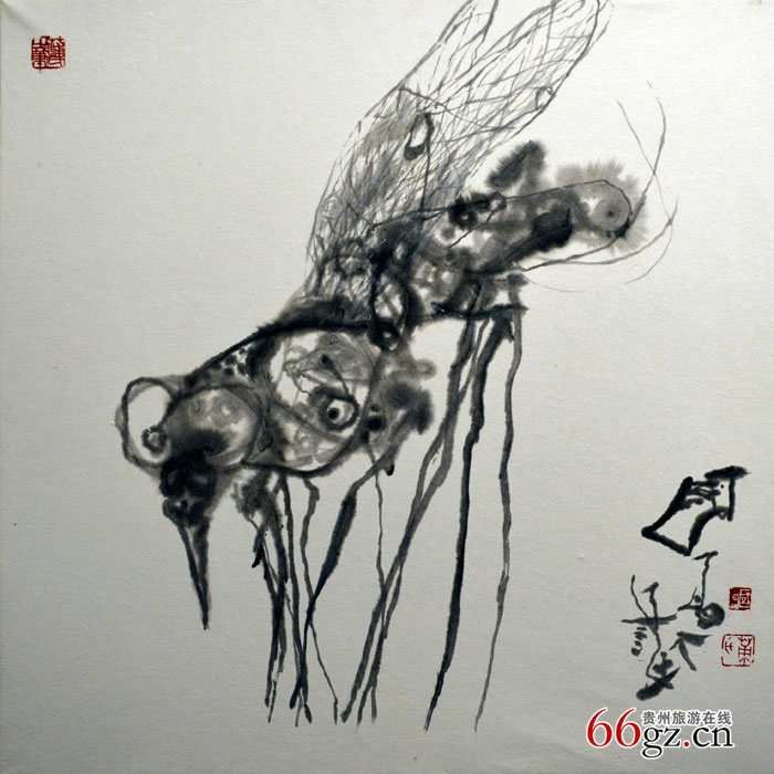 �ѹ�����չ