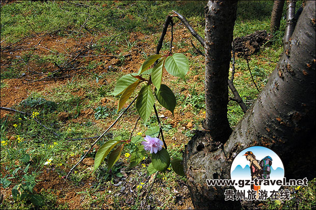 网站编辑测试图片