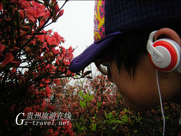 �ž黨��������