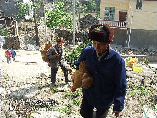 三月三祭山活动