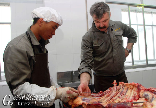 洋庖丁苗乡授技术