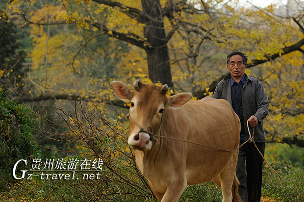 ֵӰƵ͹Ƴġ¡ڶվ뿦˹ظءˮʯִ忪