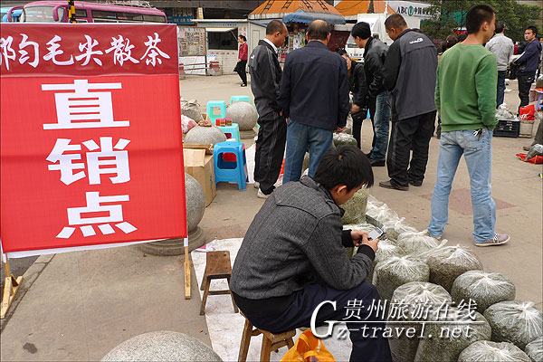 贵州都匀毛尖上市