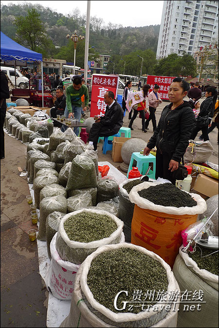 贵州都匀毛尖茶上市