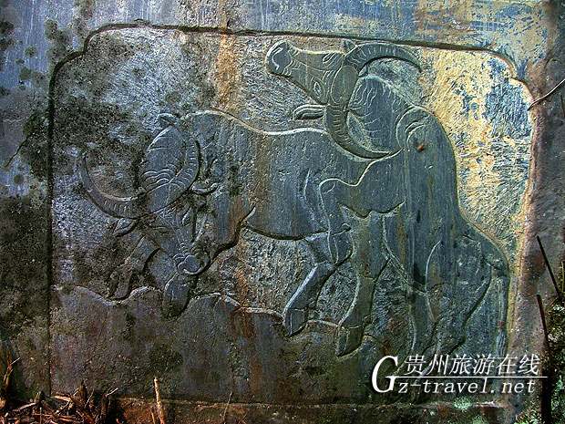 榕江惊现水族墓碑动物交配图