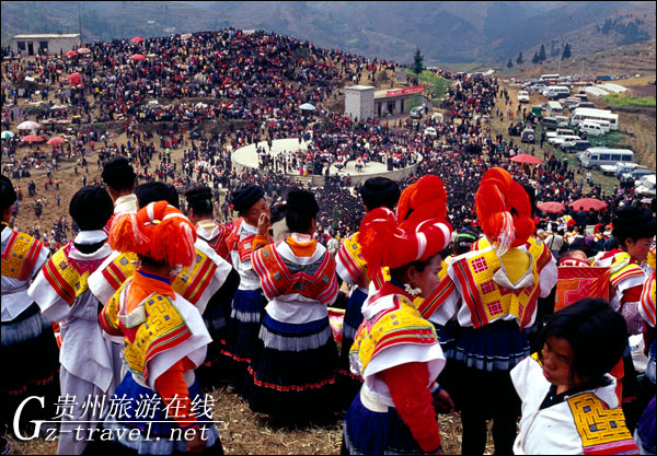 ˮ���Ͽ�����������