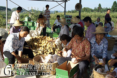 2010֮Ȼڵ ̬ˡƷڻ