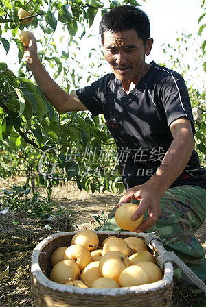 2010֮Ȼڵ ̬ˡƷڻ