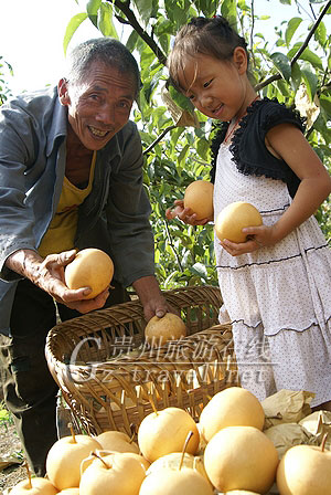 2010֮Ȼڵ ̬ˡƷڻ