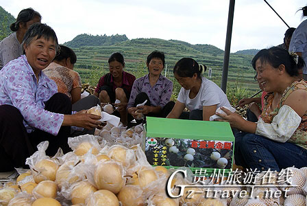 2010֮Ȼڵ ̬ˡƷڻ