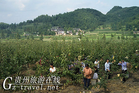 2010֮Ȼڵ ̬ˡƷڻ