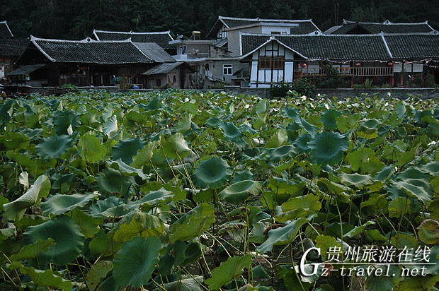 “十里画廊”之“古风河韵”——南江坪寨
