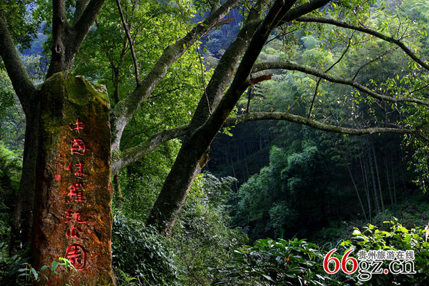 й٪޼͹԰ݳˮ10ԪѰгԽ