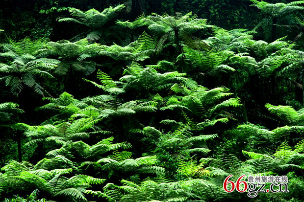 й٪޼͹԰ݳˮ10ԪѰгԽ